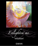 Enlighten`me ~ Deepening the Rhythms of our Inner Knowing [ INTUITION｜直覺 ]