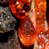 Medicina de resina - Ritual Spirit Cleanser (100mL)