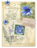 Flower Essence Card