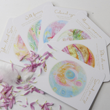 Soul Vision Oracle Cards