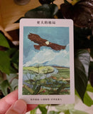 [SAMPLE SALE] 內在智慧回應卡（初版）