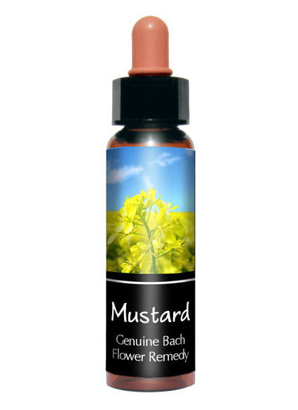 Mustard 芥末